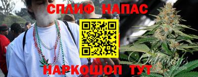 индика Лесосибирск