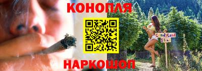 индика Лесосибирск