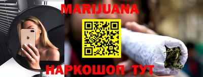 индика Лесосибирск