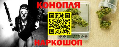 индика Лесосибирск