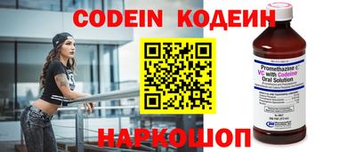 индика Лесосибирск